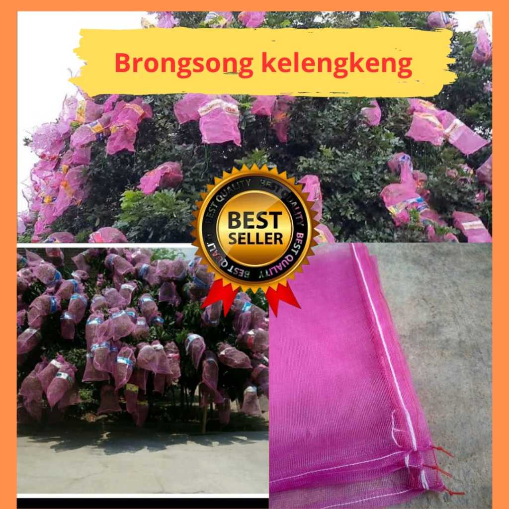 Bungkus klengkeng di pohon, Bungkus buah kelengkeng, bungkus buah lengkeng