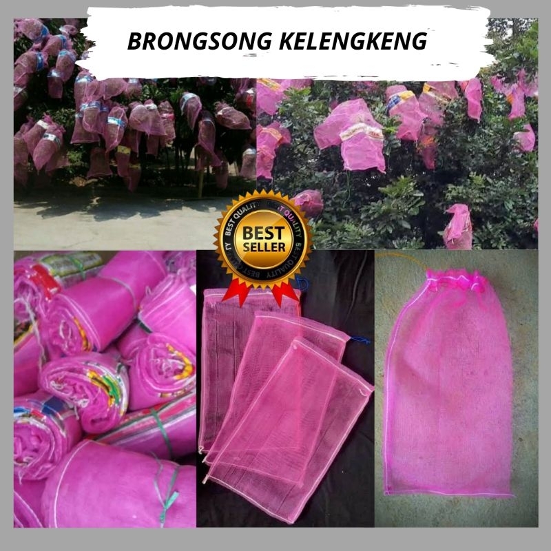 Jaring Buah Kelengkeng, Jaring Buah Lengkeng, Jaring Pohon Kelengkeng 10 pcs