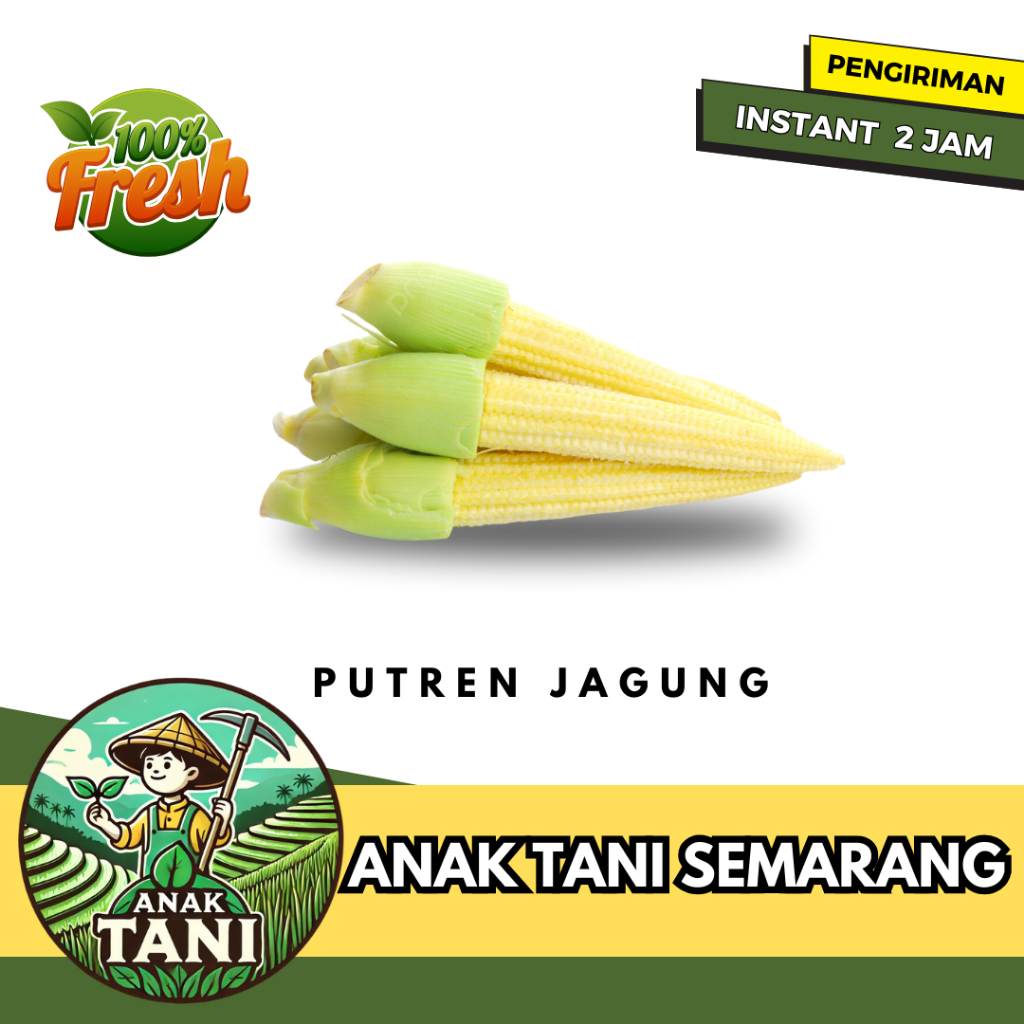 

[ANAK TANI] PUTREN JAGUNG MUDA SEGAR SIAP KIRIM INSTANT AREA SEMARANG