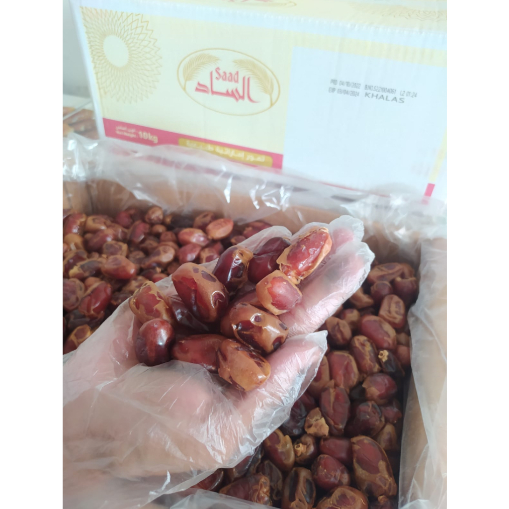 

Kurma Saad Khalas 10kg Fresh kurma Kholas Saad Enak Empuk Panen Baru