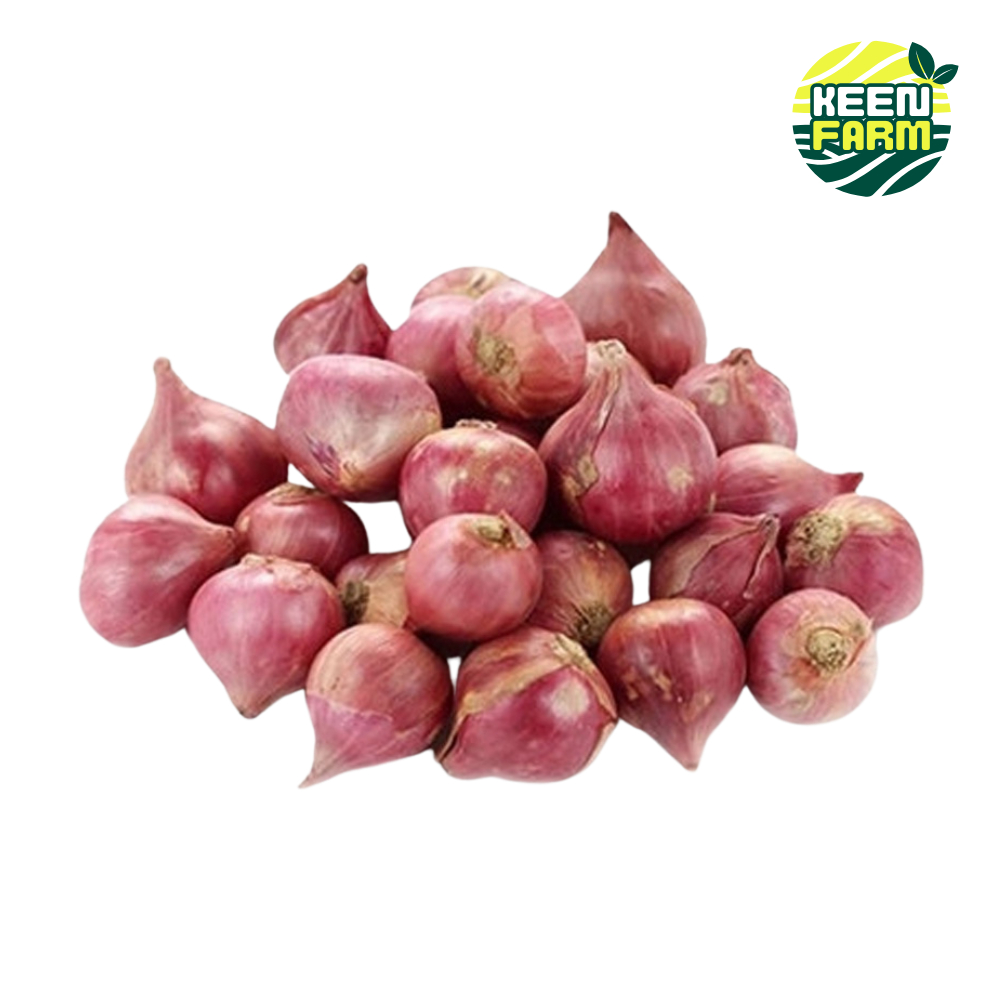 

Bawang Merah Super Berkualitas Harga Murah 1 kg