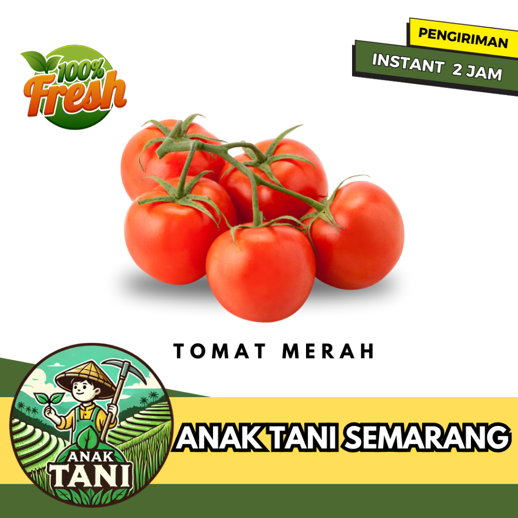 

[ANAK TANI] TOMAT MERAH / TOMAT HIJAU 250 GR SEGAR SIAP KIRIM AREA SEMARANG