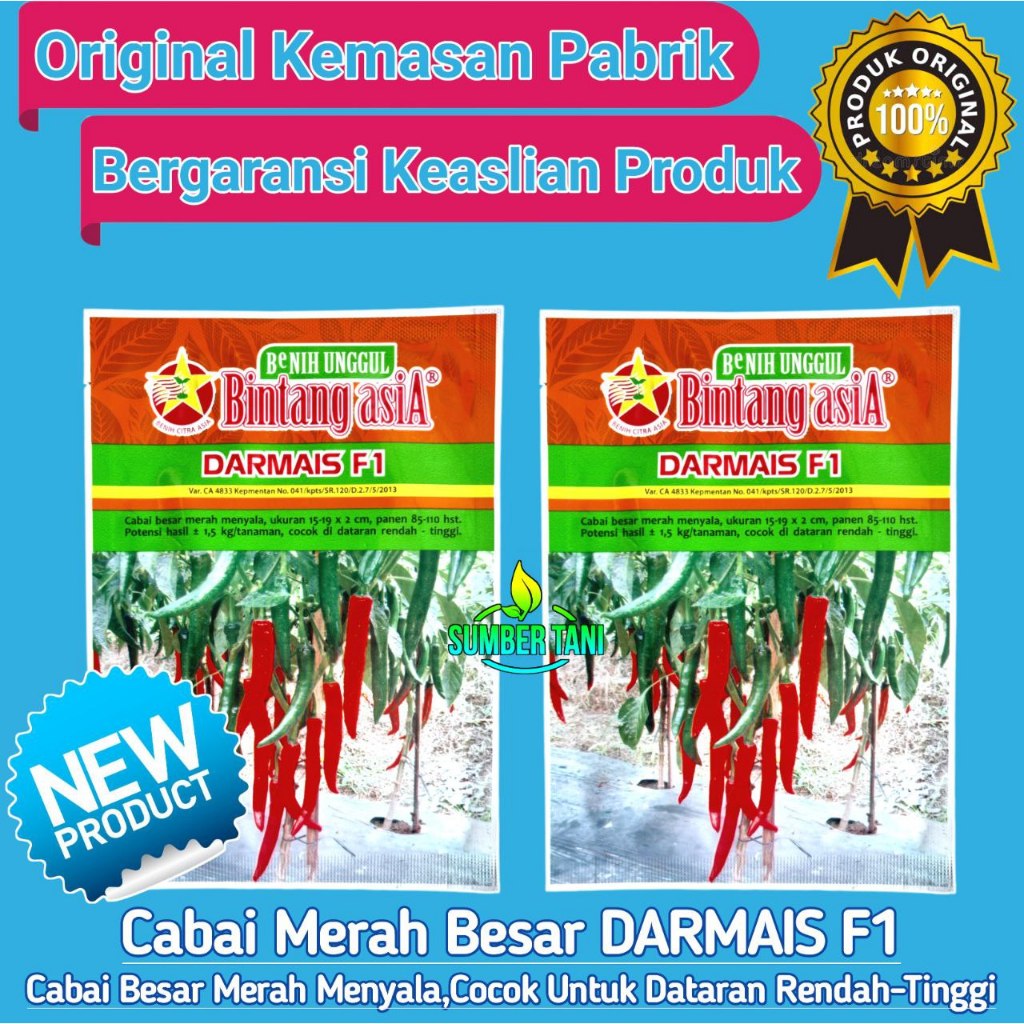 

Benih Cabai Besar | Darmais F1 | 10gr | CABE BESAR MERAH UNGGULAN