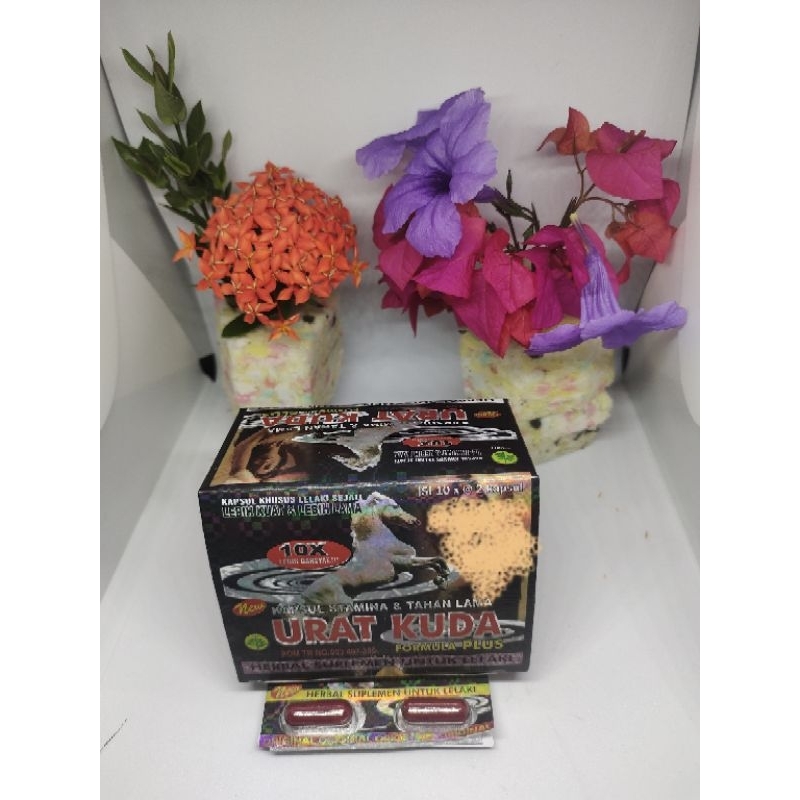 KAPSUL STAMINA URAT KUDA