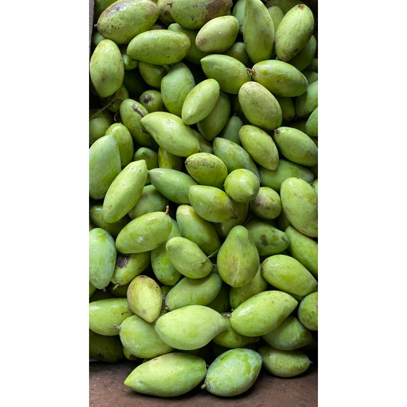 

Mangga Muda Asem Segar