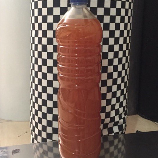 

Tawaran LEM KUNING BOTOLAN 15 ltr