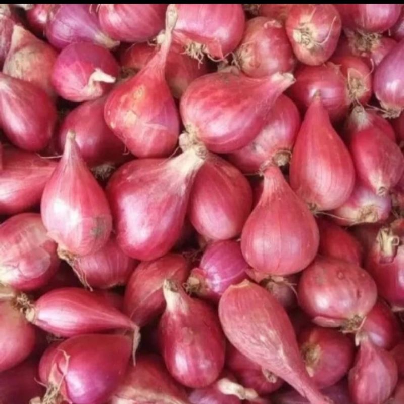 

Bawang Merah Brebes Fresh Kualitas Pilihan Terbaik Super 500 gram