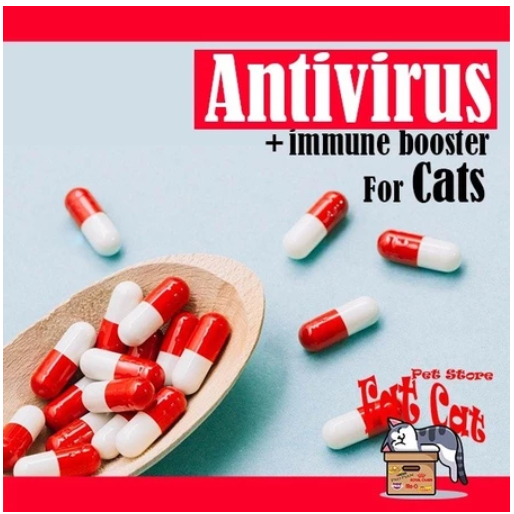 Obat Antivirus Kucing - Obat Virus kucing kapsul vitamin kucing