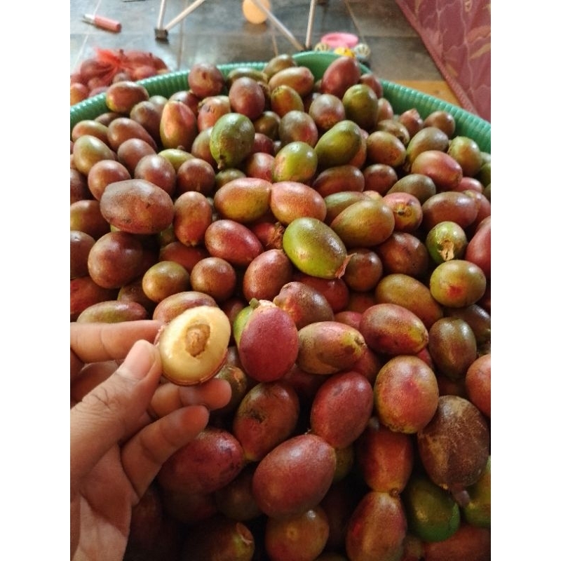 

Promo 1kg Buah matoa Manis 3 rasa maknyesss