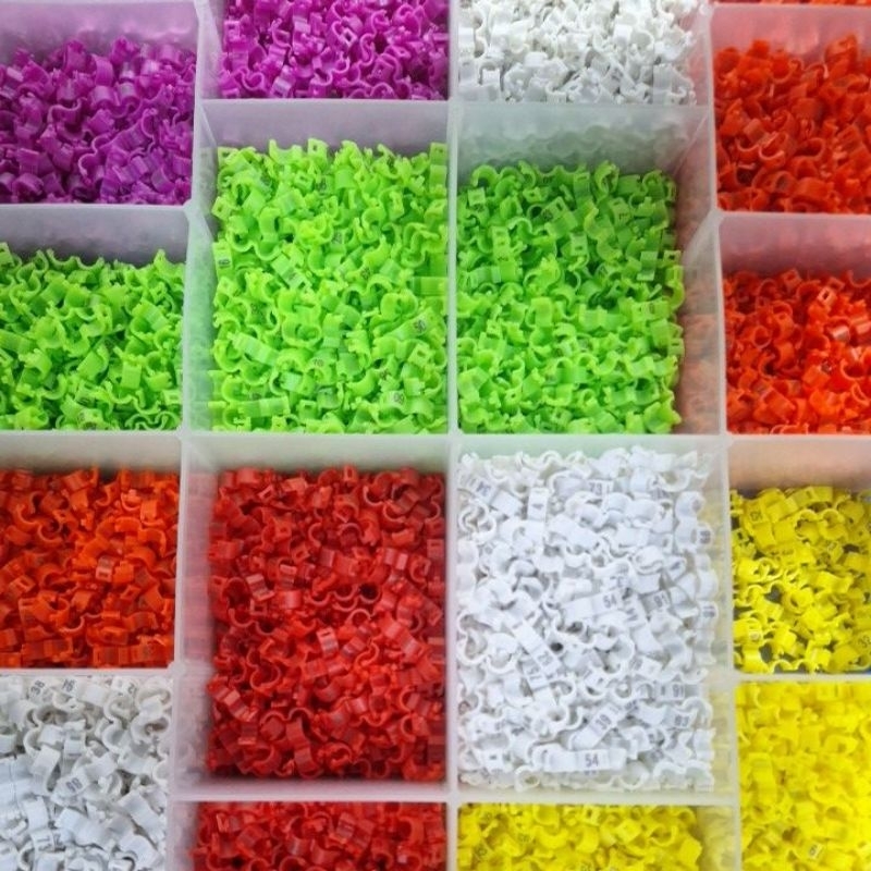 Ring clip/Ring burung dewasa  kenari,murai,lovebird,cucak hijau,perkutut,murai,pleci,sogon,konin