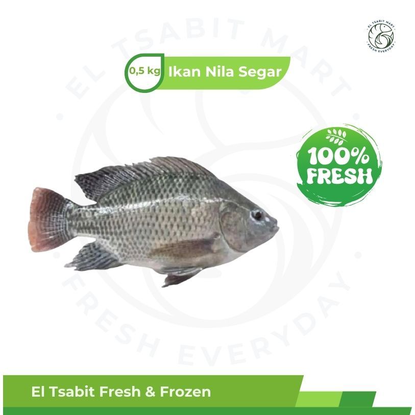 

JUAL IKAN NILA/MUJAIR/MUJAER FRESH 500 GR