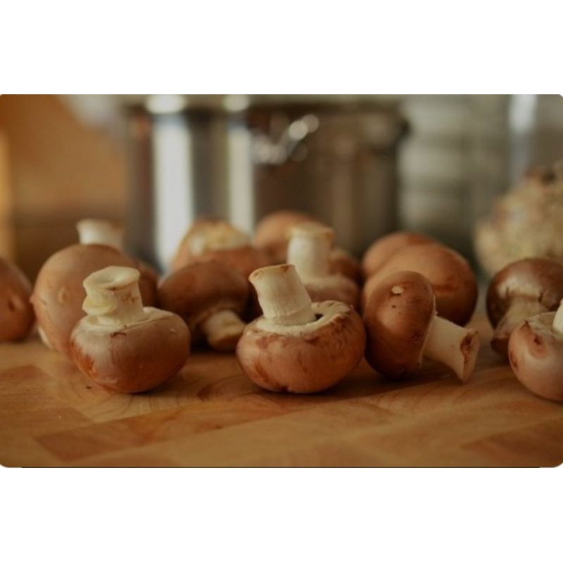 

Jamur shiitake 1kg