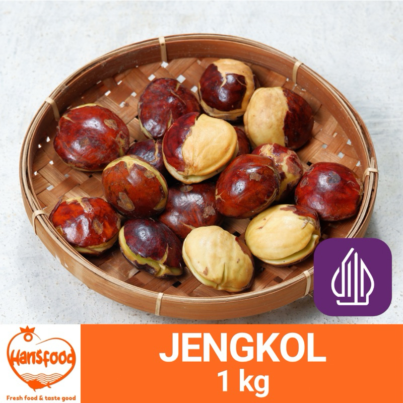 

Jengkol 500 gr-1 kg
