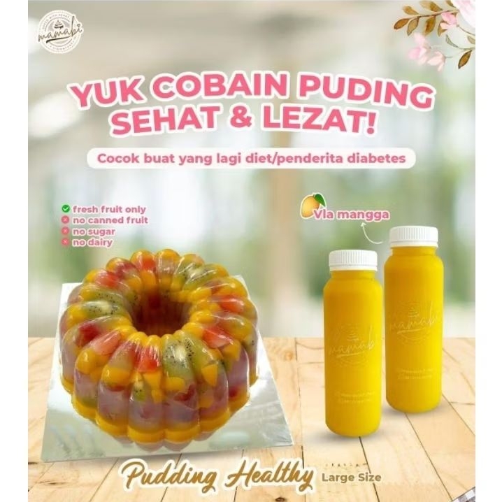 

pudding healthy (no sugar) large