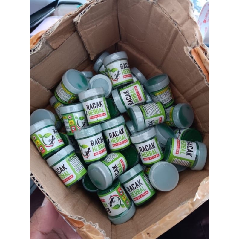 racak herbal racun cicak