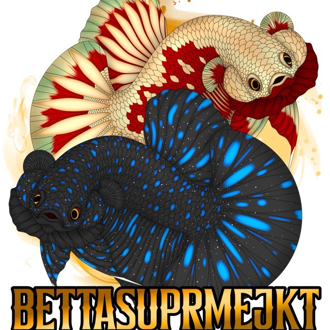 

FG2 CO STIKER LIVE