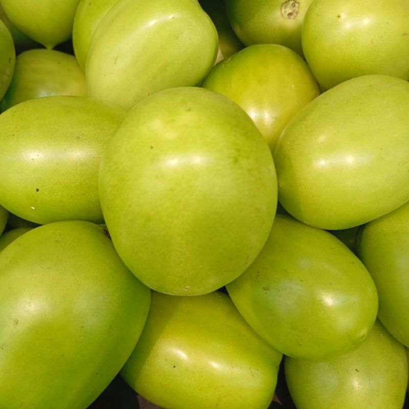 

TOMAT HIJAU SEGAR 500GRAM