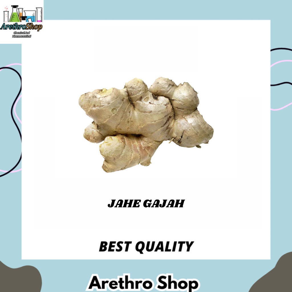 

JAHE GAJAH 500 GRAM DAN 1 KG BEST SELLER