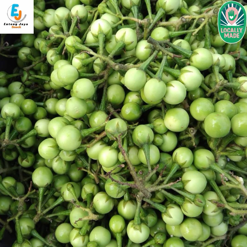 

Pokak / Takokan Segar 250 gram