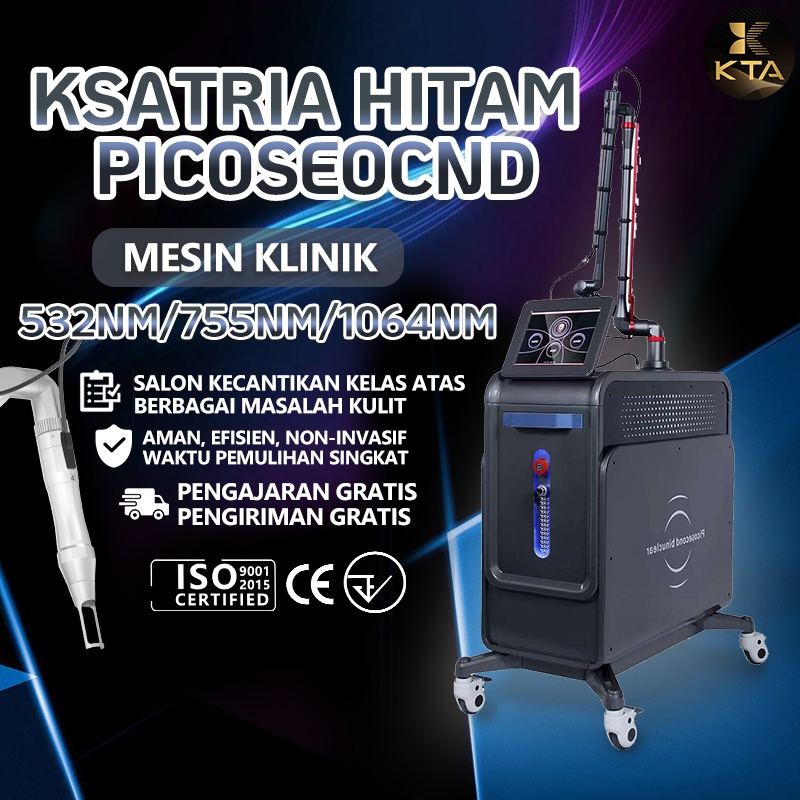 laser picosecong pro pico laser alat klinik kecantikan mesin laser hapus tato ndyag laser alat laser