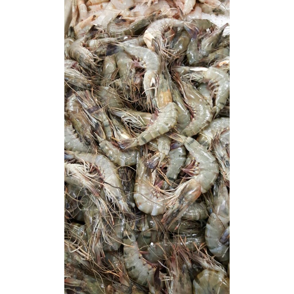 

Udang kupas 250 gram