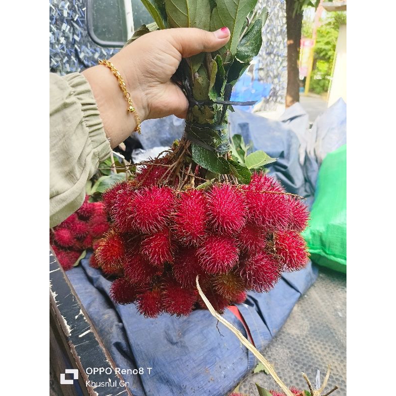 

RAMBUTAN LOKAL MANIS 1 IKAT BB ±2KG