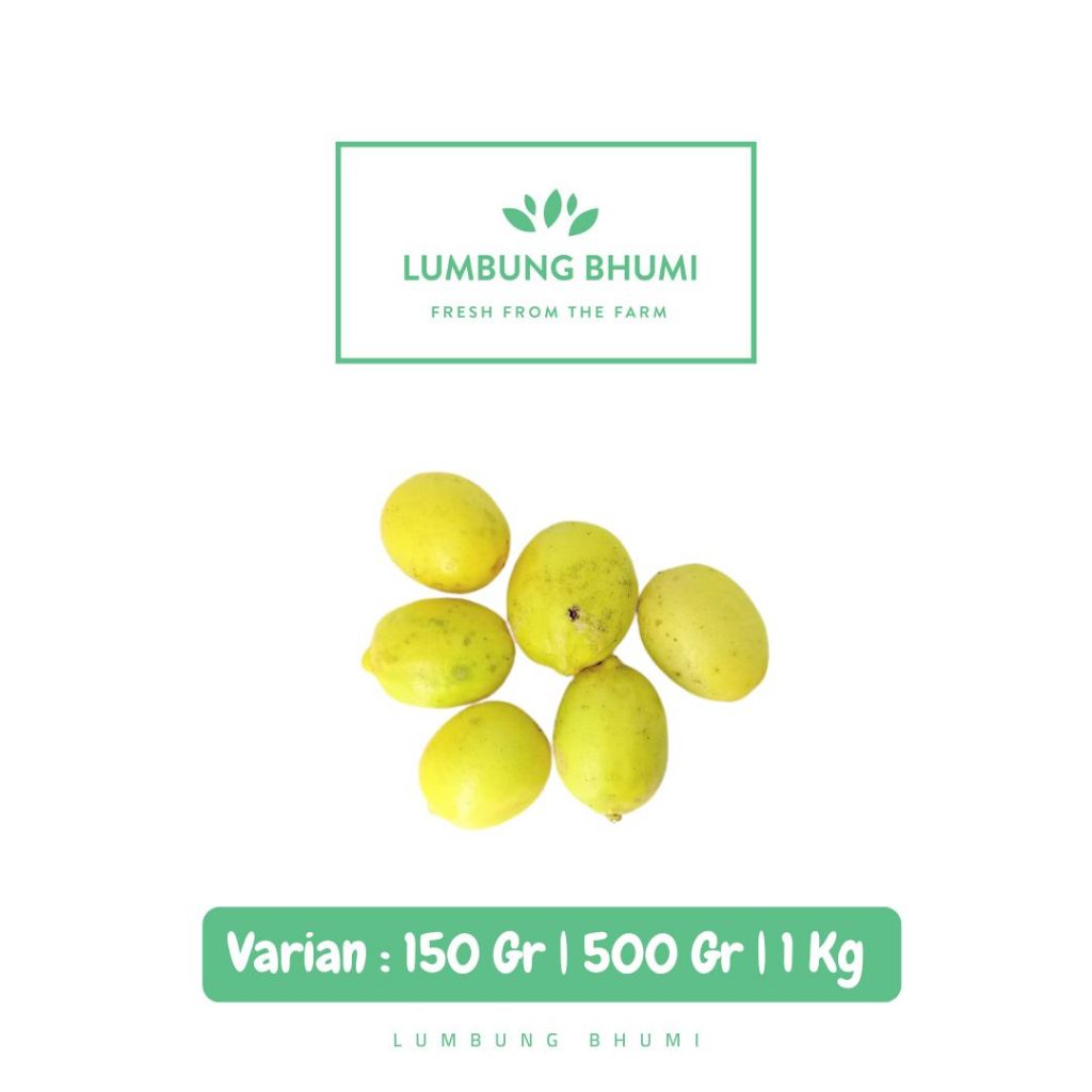 

Jeruk Lemon Lokal Sitrun Buah - Lumbung Bhumi