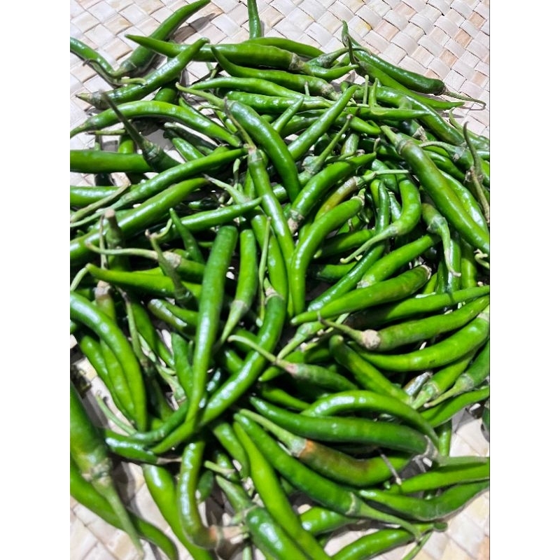 

CABAI BESAR HIJAU berat 500gr Banyuwangi