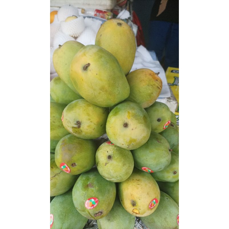 

mangga arum manis purbalinggo