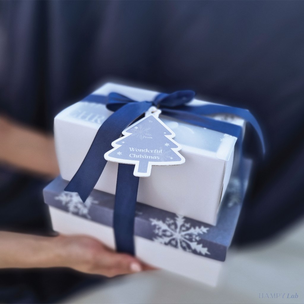 

NOEL SET - Christmas Hampers / Parsel Natal 2024