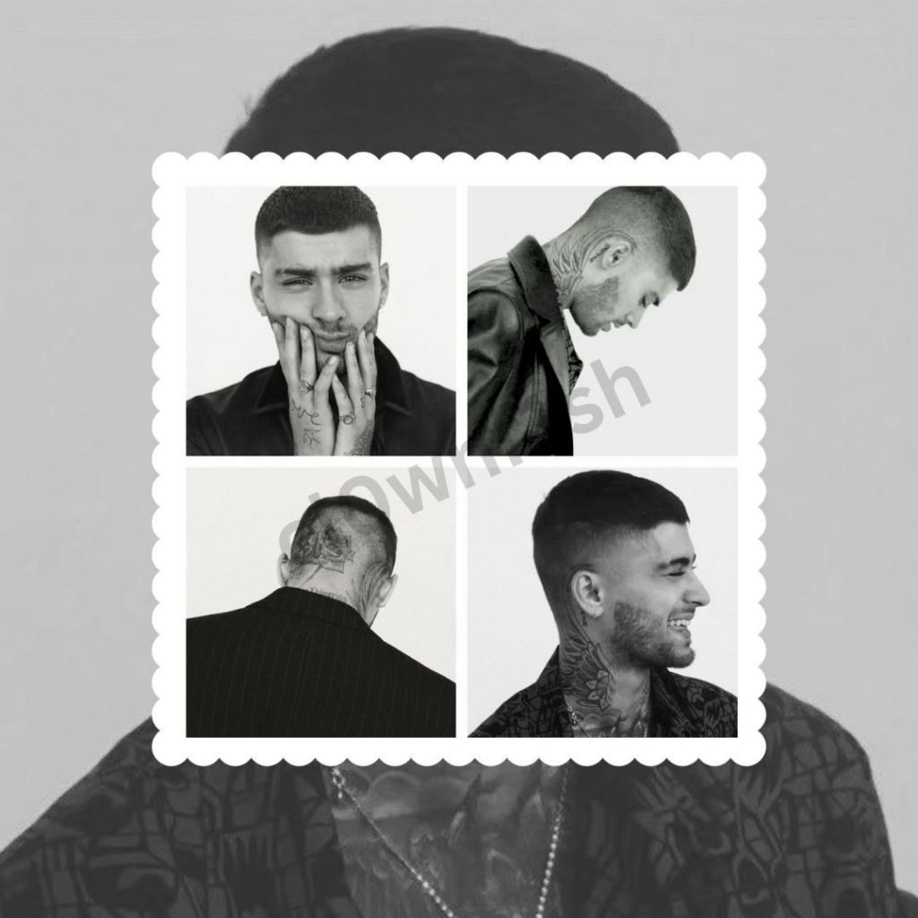 

Zayn Malik Photobooth Waterproof Sticker