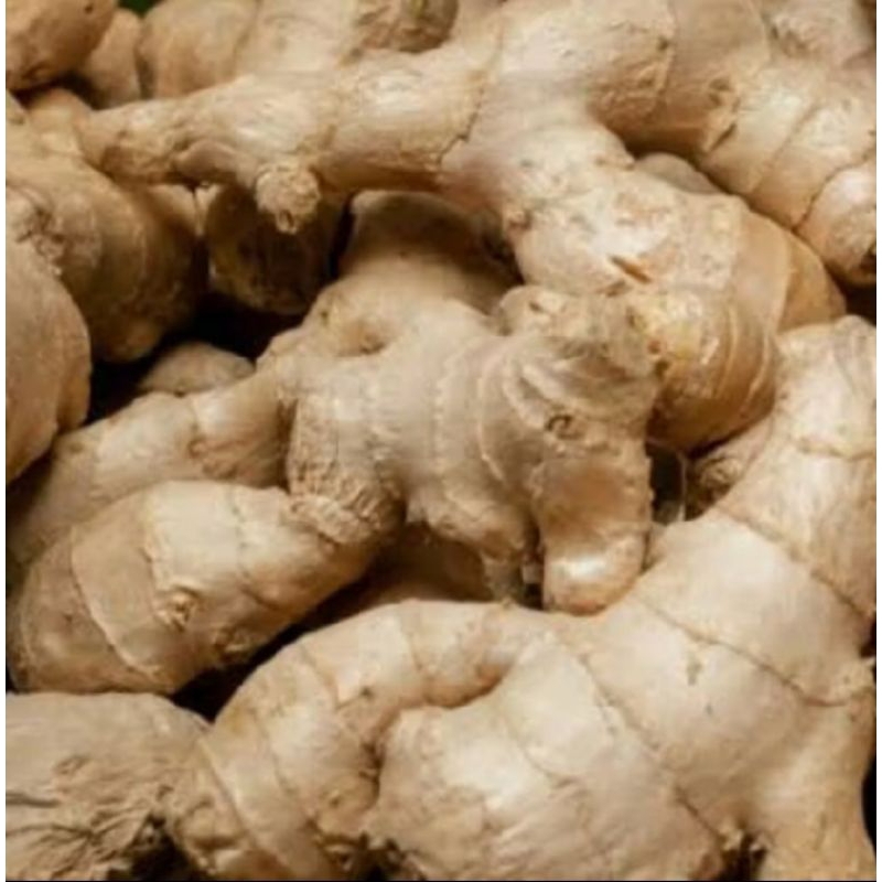 

Jahe 500 gr