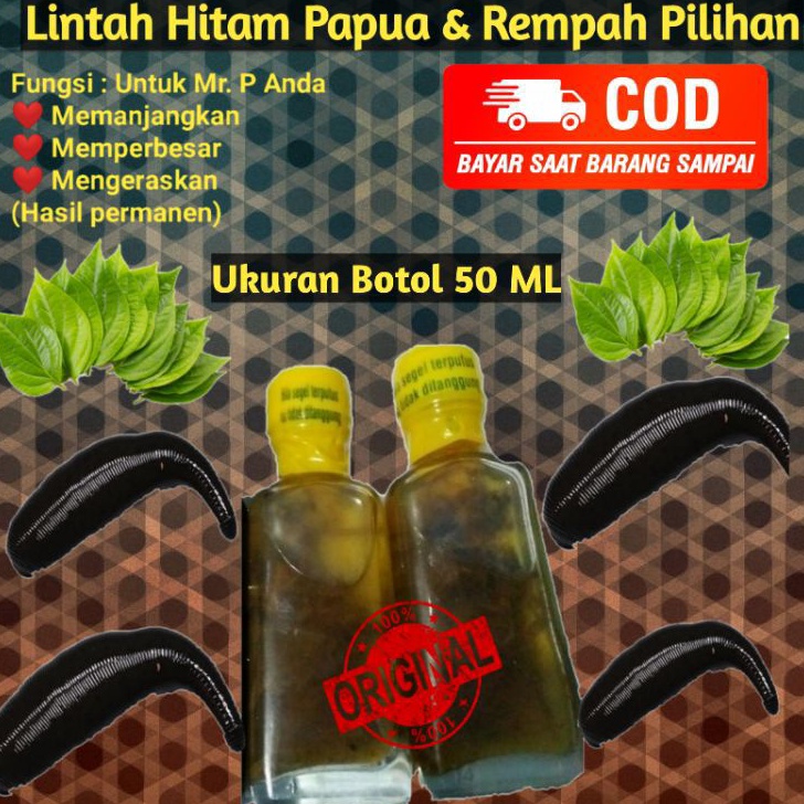 SPESIAL AWAL TAHUN Minyak Lintah Papua Asli Minyak Lintah Papua Asli 1 Original Minyak Lintah Hitam 