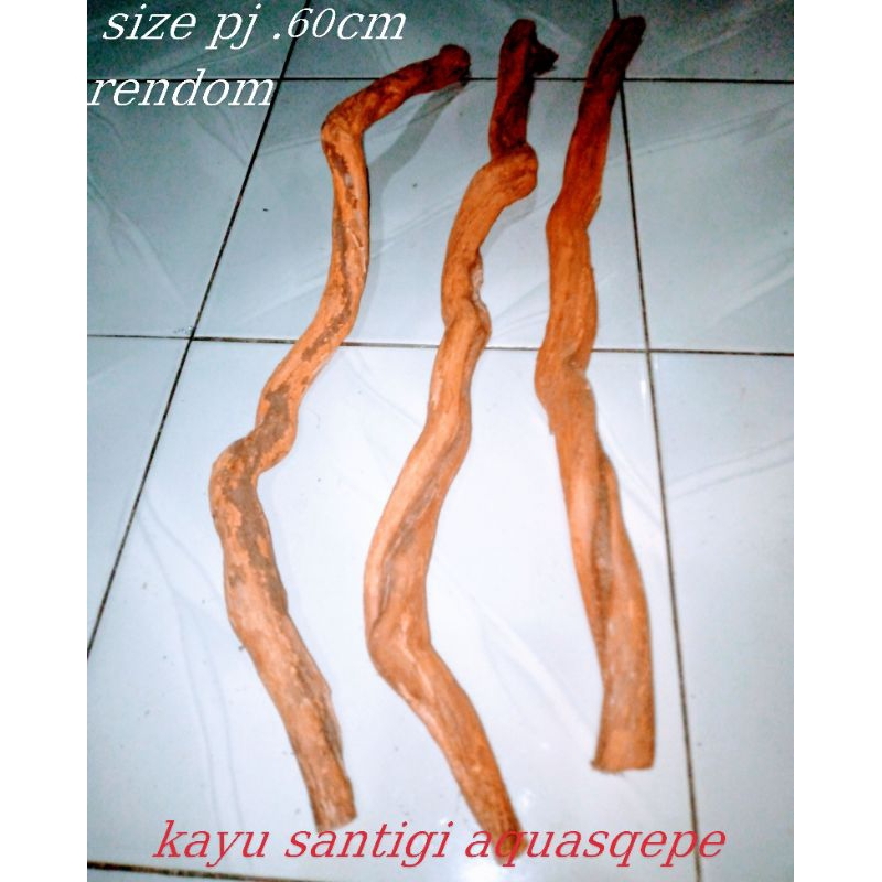 Kayu santigi kecil 1 pcs rendom