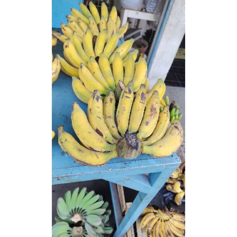 

pisang raja 1 sisir manis masih fresh