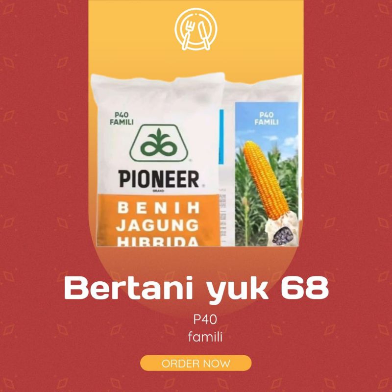 BENIH JAGUNG PIONIR P40  Family  1KG