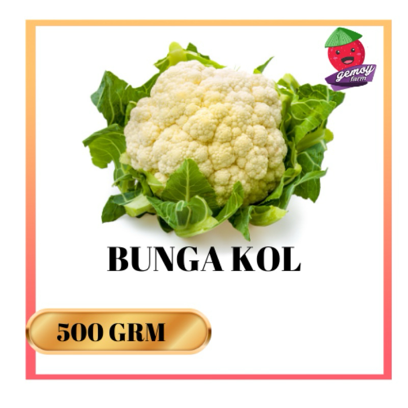 

Bunga Kol/kembang kol