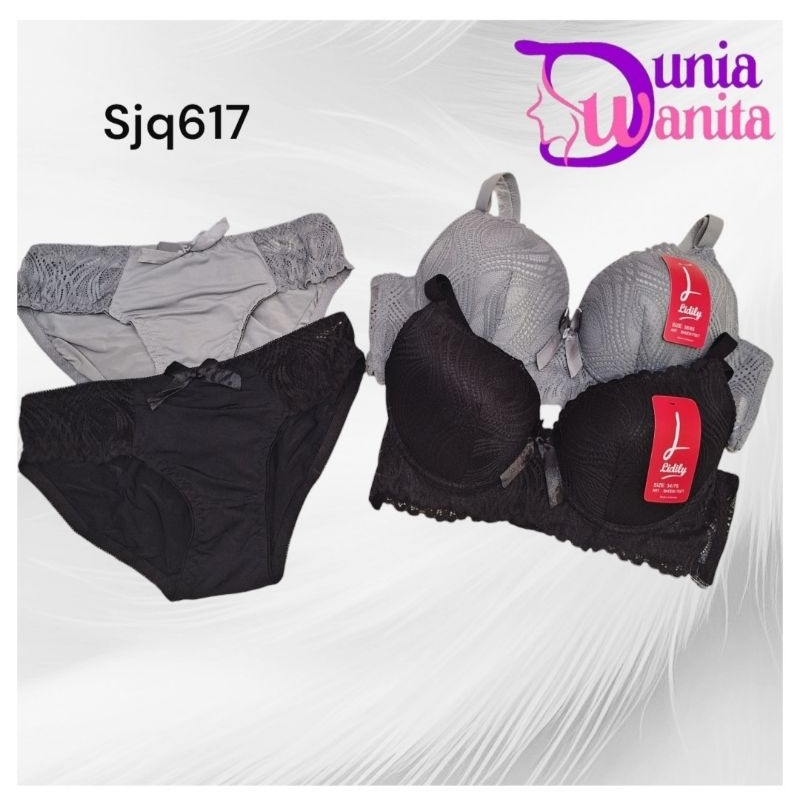 DWB-LYDYLY BH SET/LYDYLY BRA SET/LYDYLY BH SET SJQ617