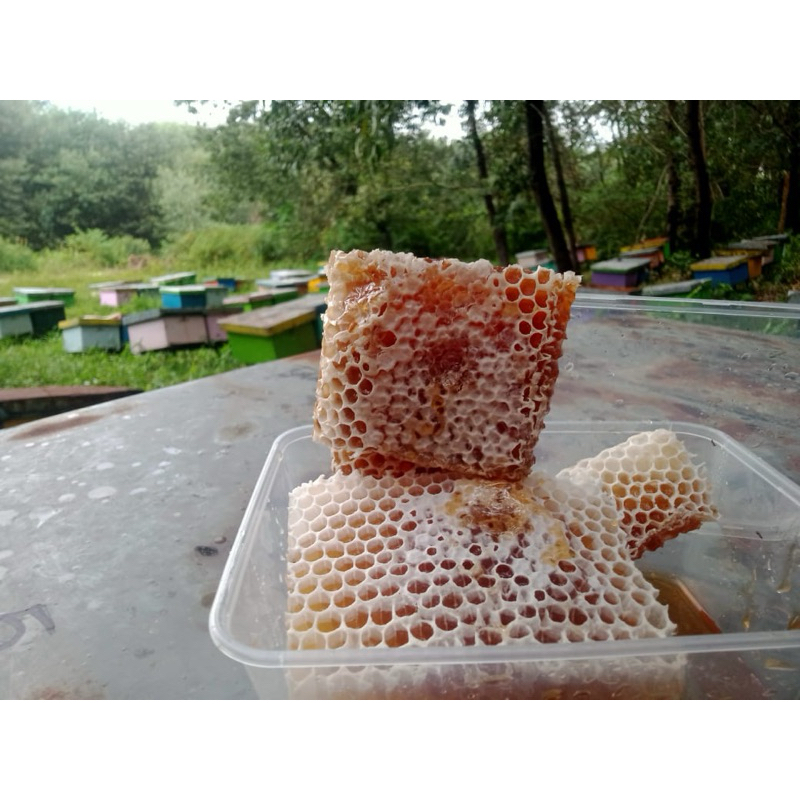 

Madu Akasia Carva