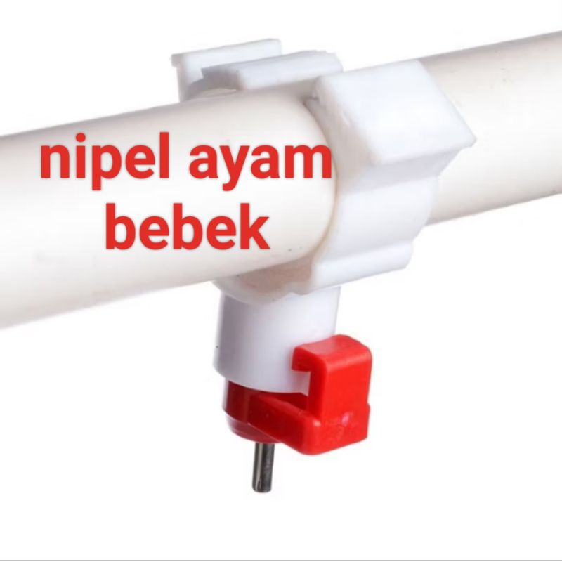 nipel A9 nepel ayam nipel puyuh nepel bebek