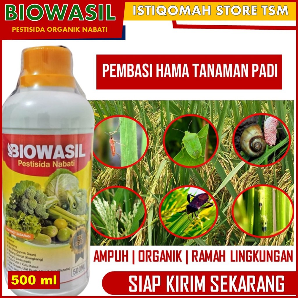 BIOWASIL - OBAT HAMA Tanaman PADI SAWAH PALING BAGUS - Pestisida Padi Terbaik Atasi Hama Tanaman Pad