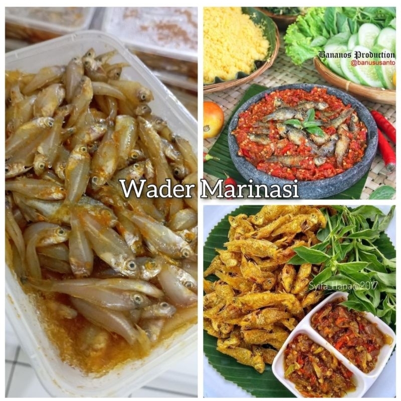 

Ikan Wader Marinasi 500 gram. Tinggal goreng