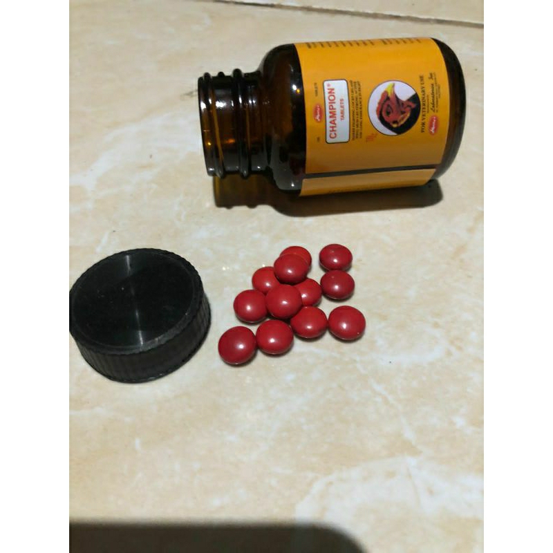 Champion Meningkatkan Stamina Agresif Ayam Laga /Anjing