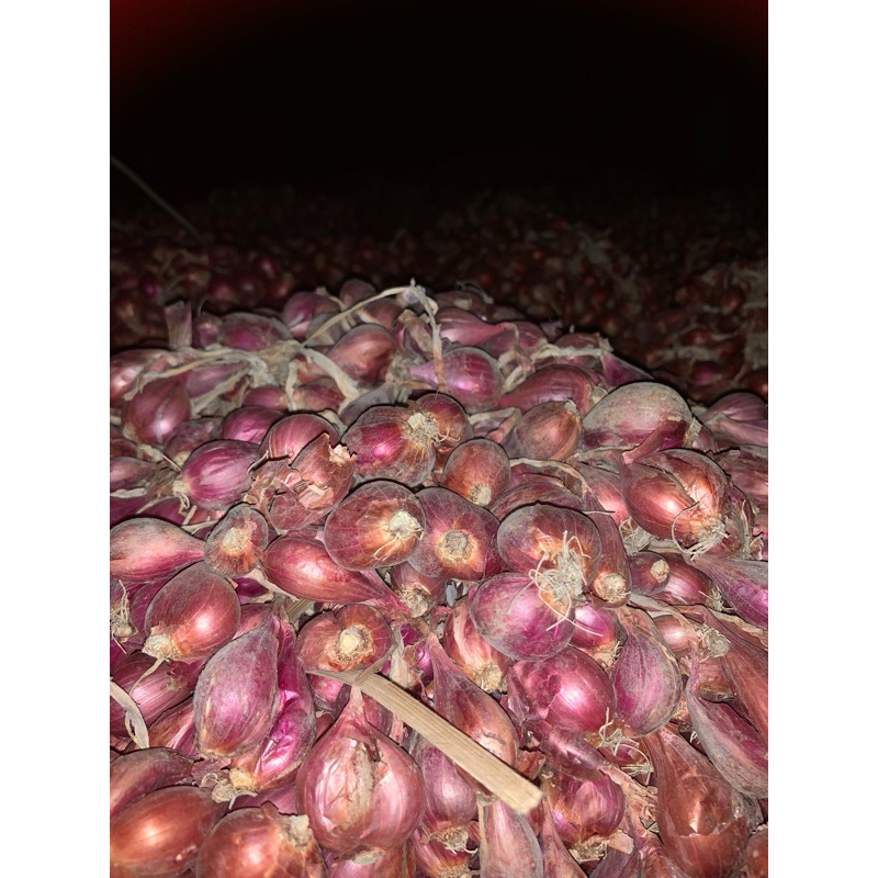 

Bawang Merah Demak harga yang tertera untuk 1kg