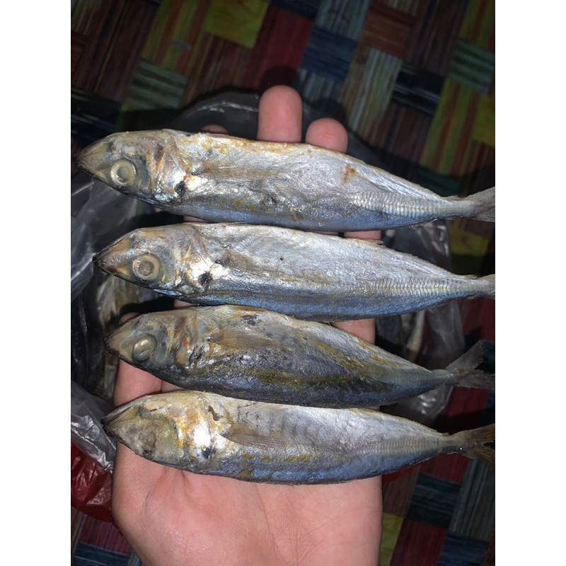 

ikan asin japuh layang 1kg