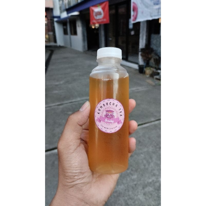 

teh Kombucha, teh herbal, teh kesehatan, teh tradisional