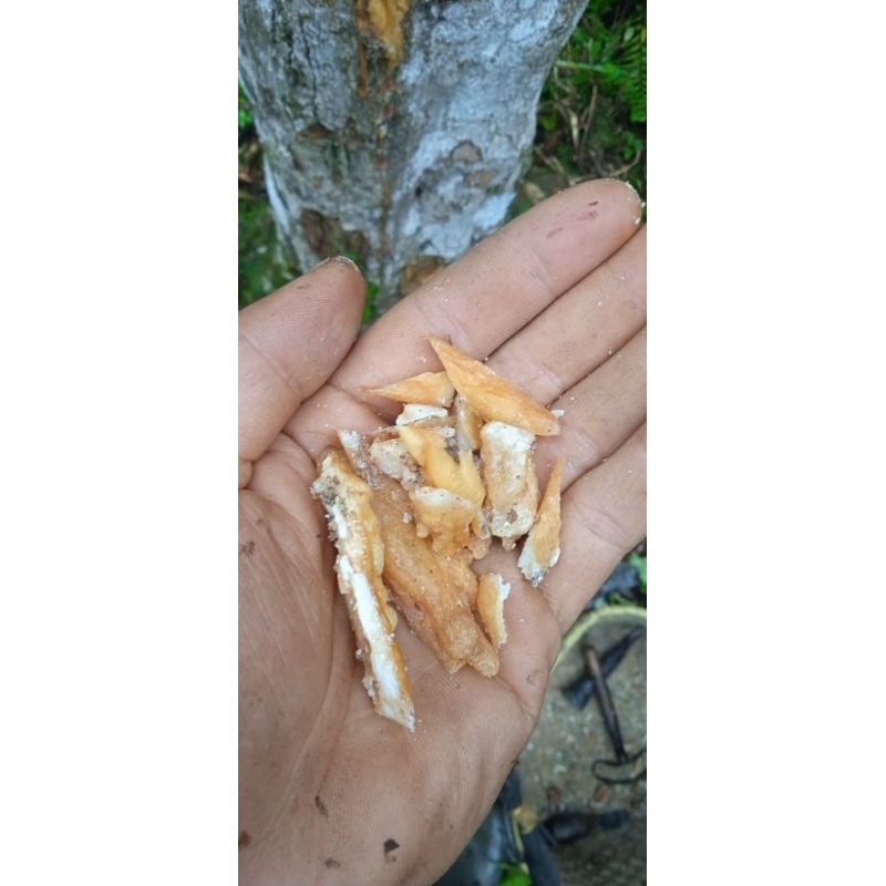 Kemenyan Toba Tapanuli 100 gr