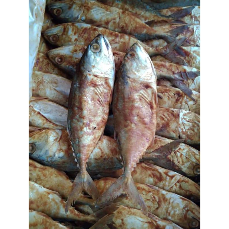 

ikan asin peda merah super,termurah