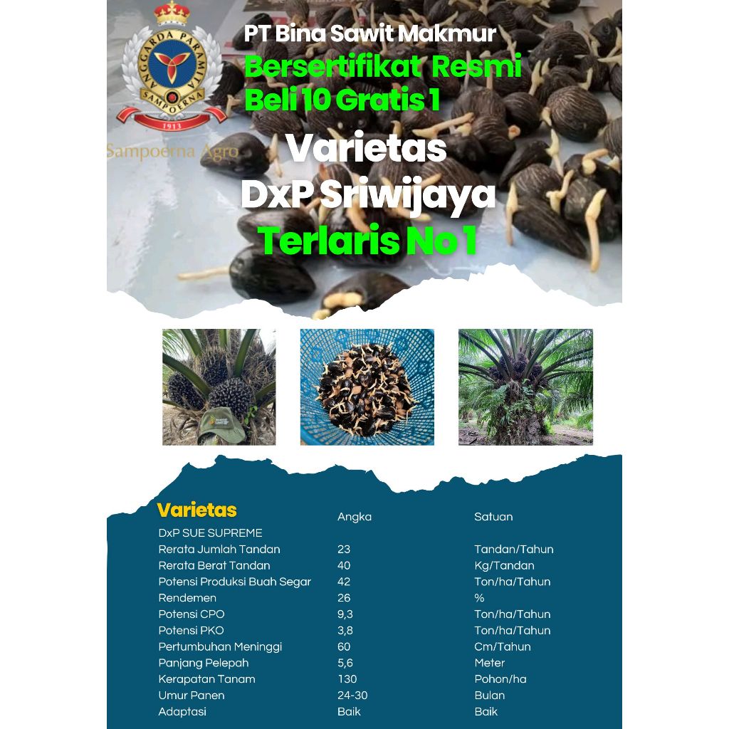Kecambah Kelapa Sawit Unggul Bersertifikat - Varietas DxP Sriwijaya PPKS Resmi/Isi 280/Harga Grosir