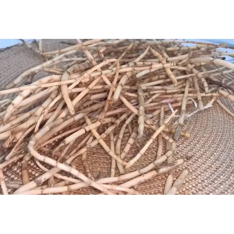 

Akar Alang-Alang 1kg